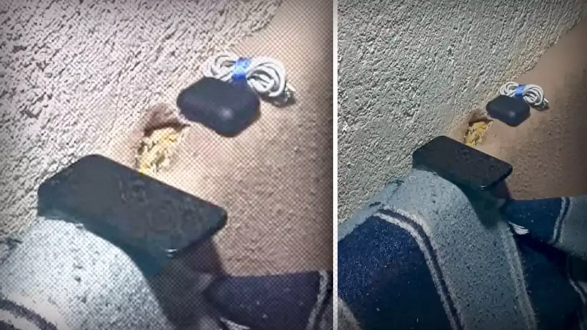 Encuentran un teléfono celular y estupefacientes en el penal Tepexi de Rodríguez