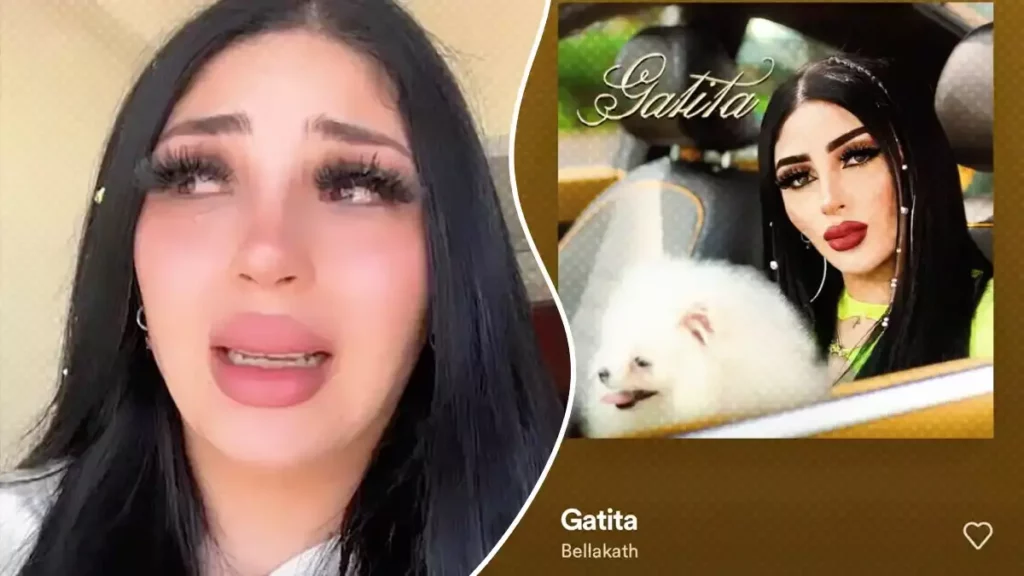 Eliminan 'Gatita' de Bellakath de redes sociales por plagio