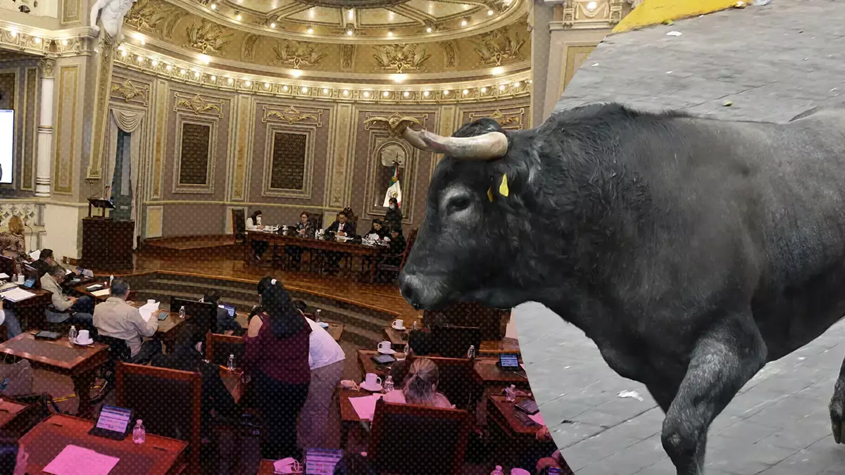 Congreso de Puebla prevé prohibición de la tauromaquia para 2023