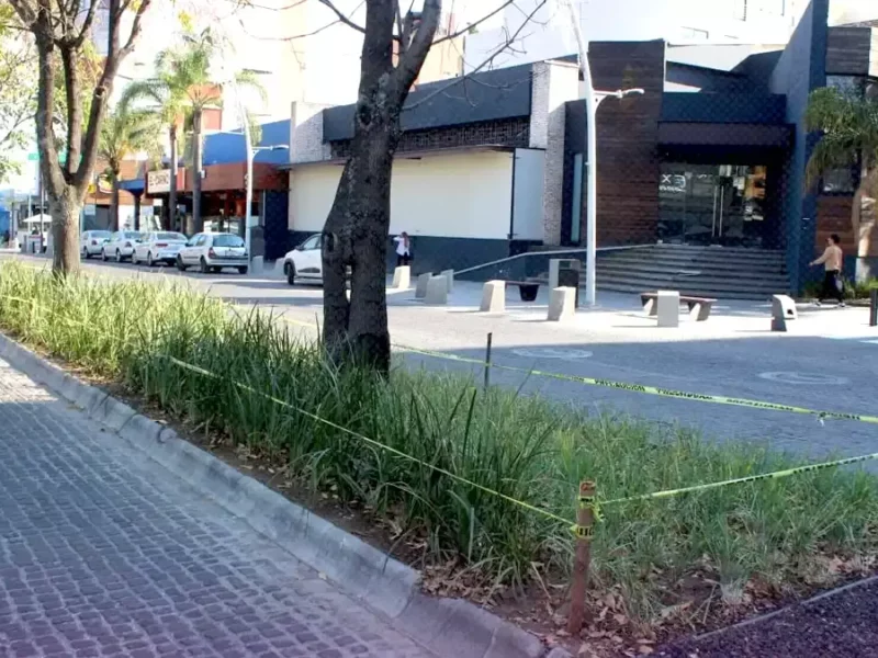 Ayuntamiento de Puebla entrega 4 camellones rehabilitados en la Avenida Juárez