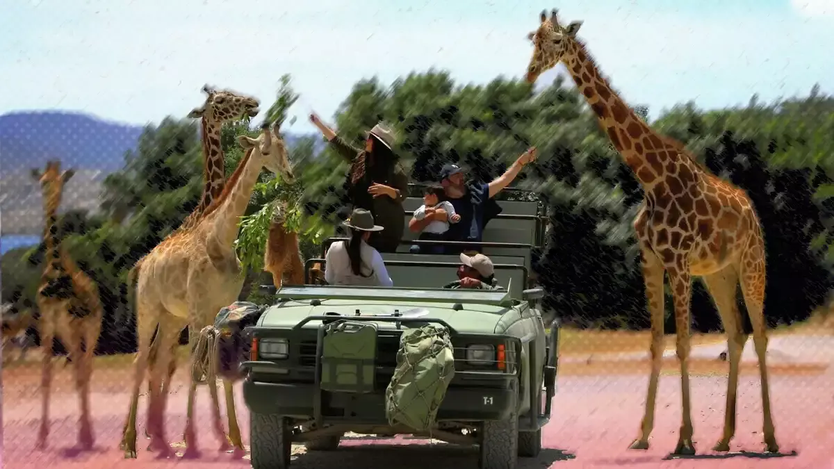 Africam Safari oferta 14 vacantes… checa los requisitos y aplica.