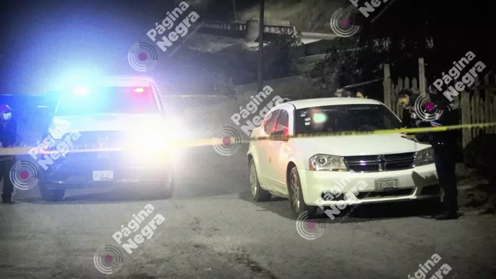 Fueron hallados restos humanos devorados por perros, en San Francisco Totimehuacan