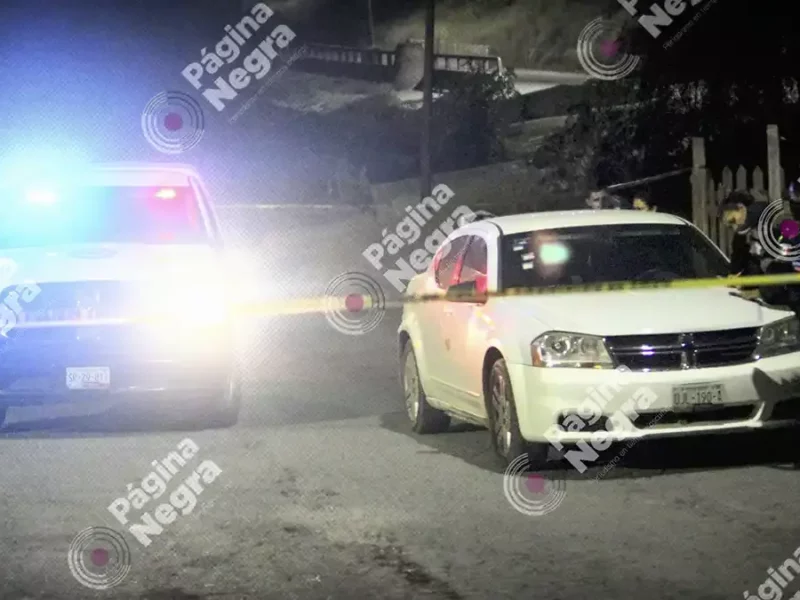 Fueron hallados restos humanos devorados por perros, en San Francisco Totimehuacan