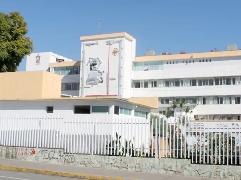 Niña mordida por murciélago muere en Oaxaca; se reportaba grave.