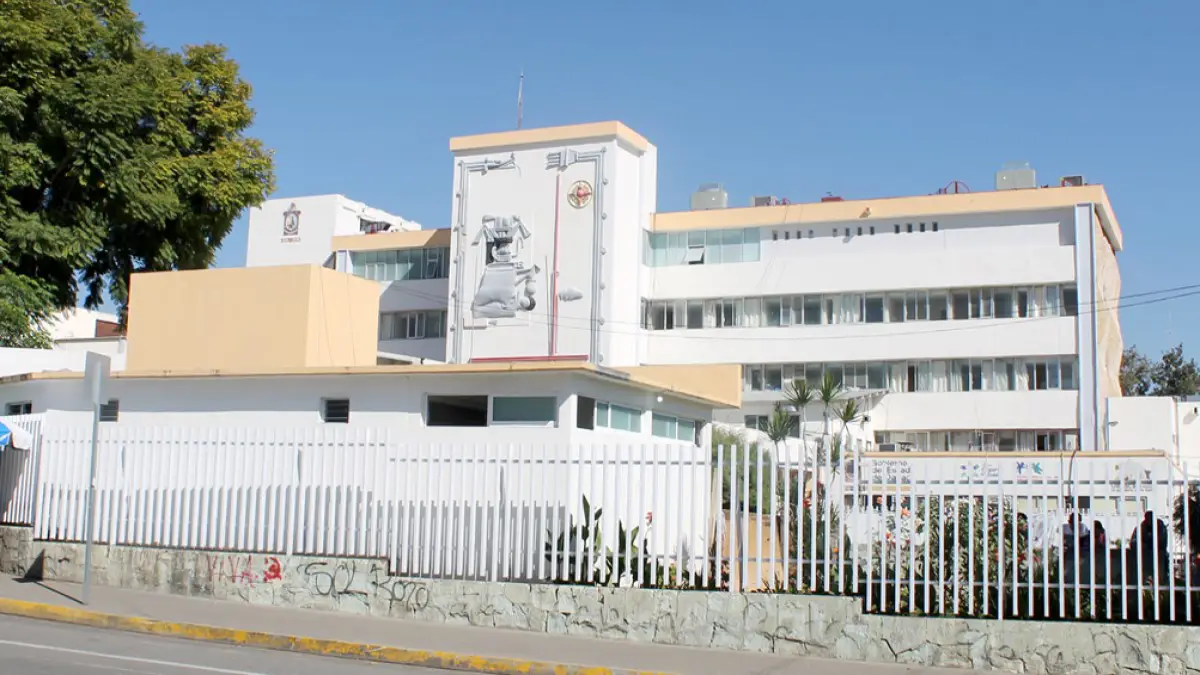 Niña mordida por murciélago muere en Oaxaca; se reportaba grave.