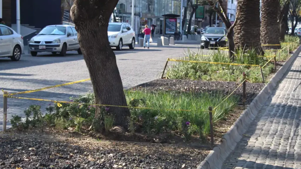 Ayuntamiento de Puebla entrega en custodia camellones de la Avenida Juárez