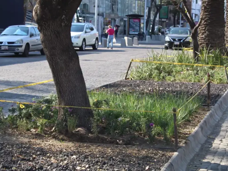 Ayuntamiento de Puebla entrega en custodia camellones de la Avenida Juárez