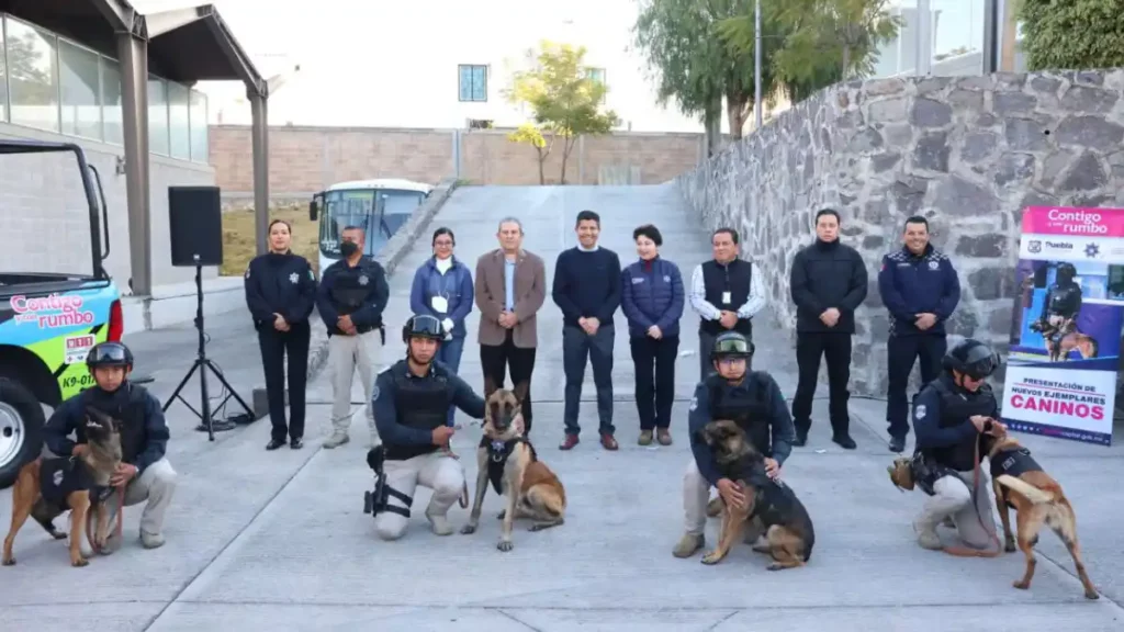 Policía Municipal se fortalece con la incorporación de 10 nuevos ejemplares caninos