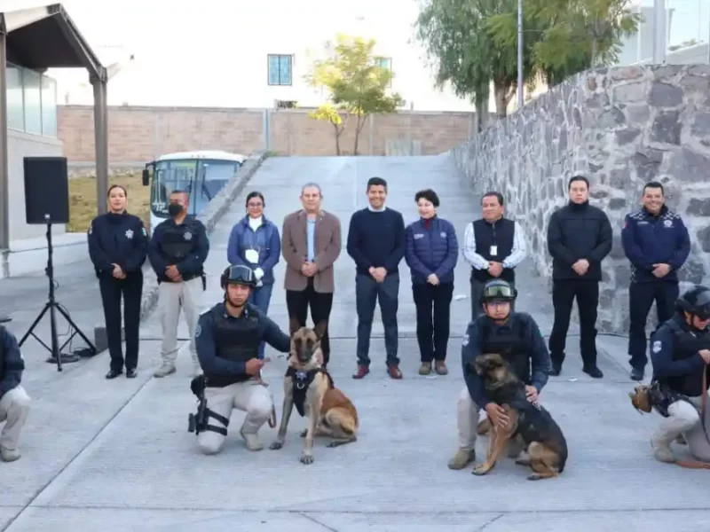 Policía Municipal se fortalece con la incorporación de 10 nuevos ejemplares caninos