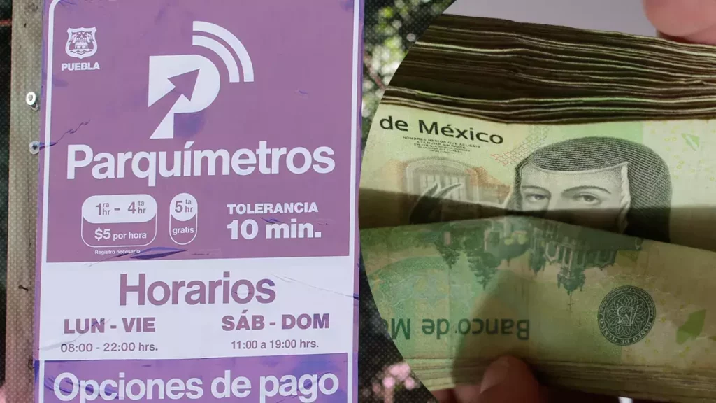 Destinarán más de 2 mdp de parquímetros a proyecto de arborización en Puebla.
