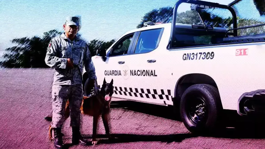 Aumentarán presencia de la Guardia Nacional en la autopista México-Puebla