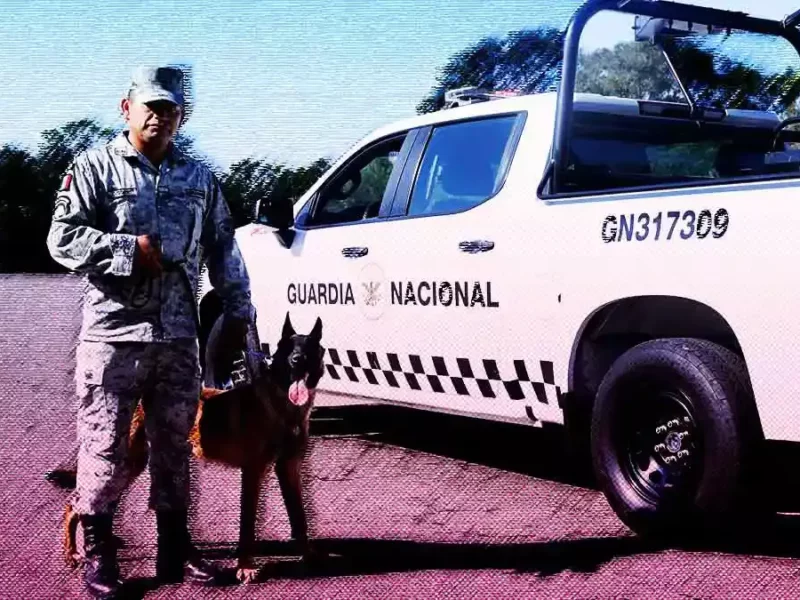 Aumentarán presencia de la Guardia Nacional en la autopista México-Puebla