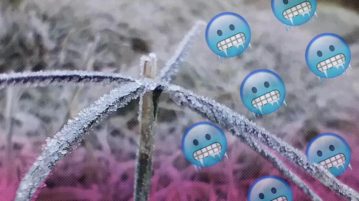 Se registran temperaturas de -2 grados en la Sierra Nororiental de Puebla