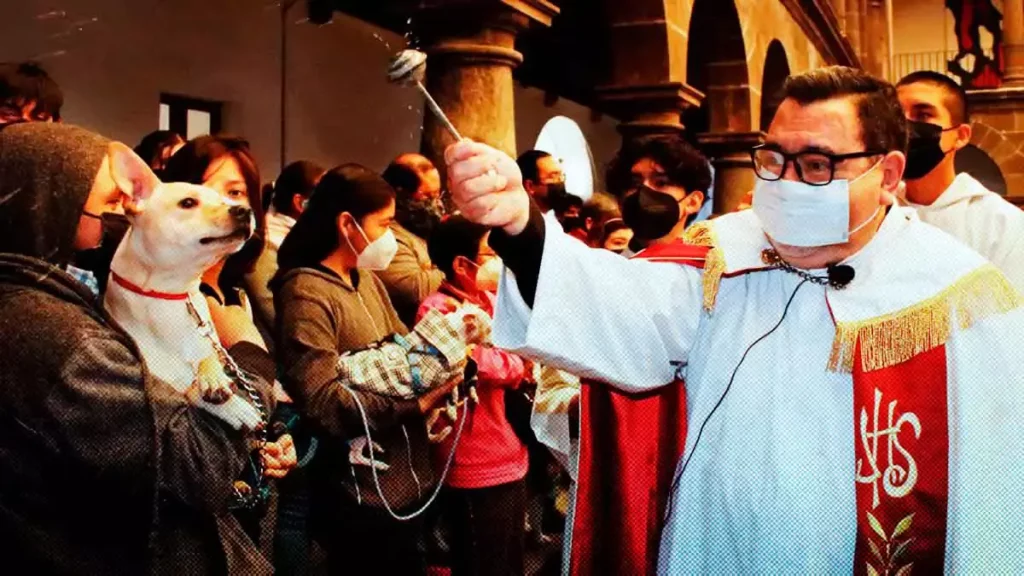 Aquí los lugares de Puebla donde habrá bendición a mascotas, por Día de San Antonio Abad