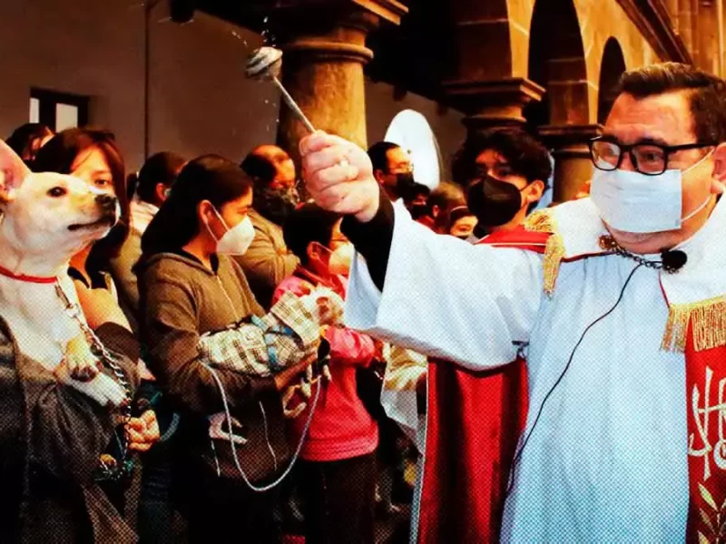 Aquí los lugares de Puebla donde habrá bendición a mascotas, por Día de San Antonio Abad