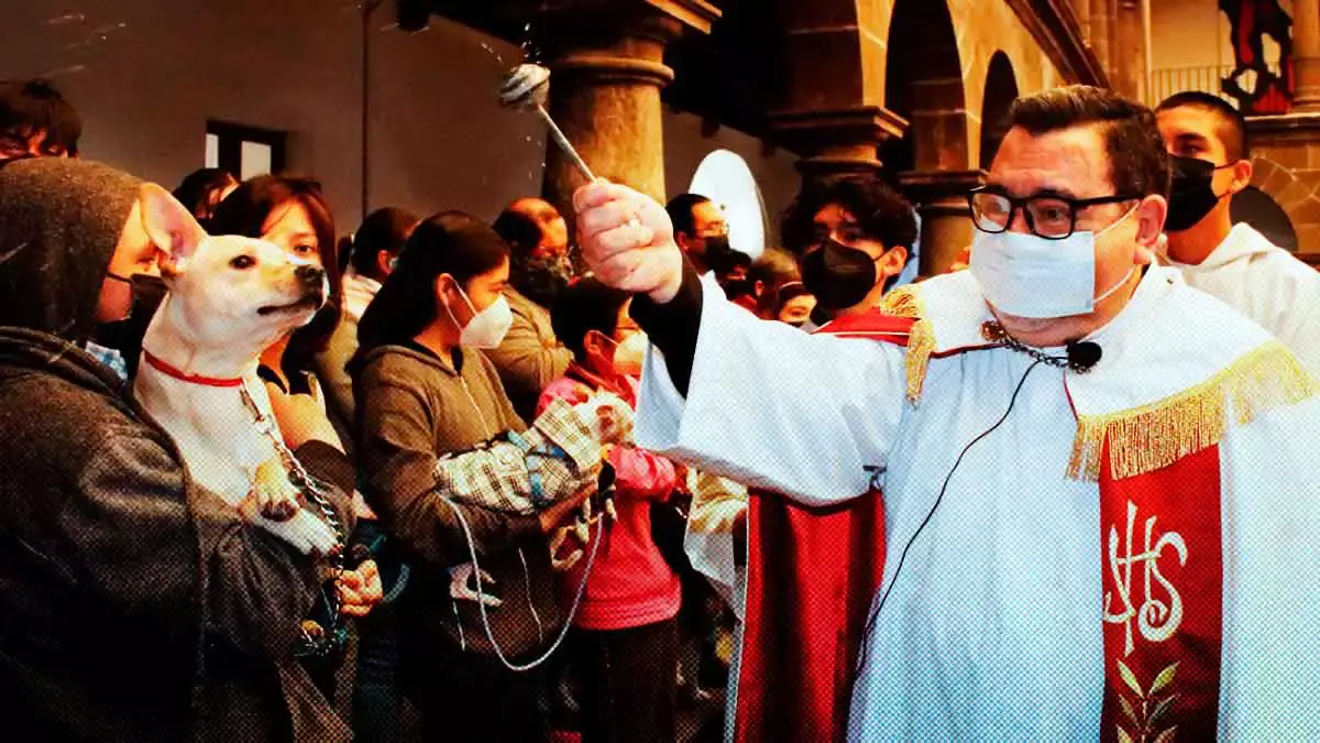 Aquí los lugares de Puebla donde habrá bendición a mascotas, por Día de San Antonio Abad