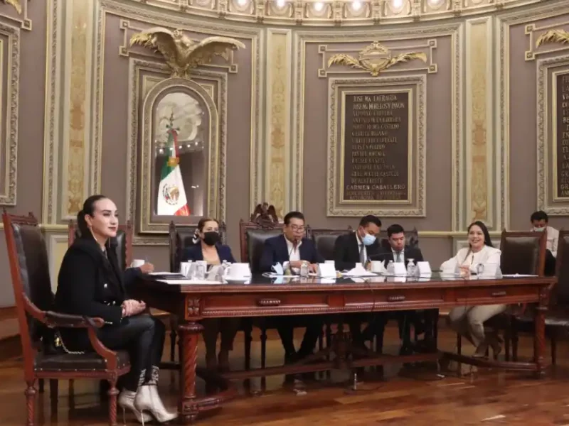 Presentan en el Congreso del Estado iniciativa para prohibir la venta de perros y gatos de criaderos