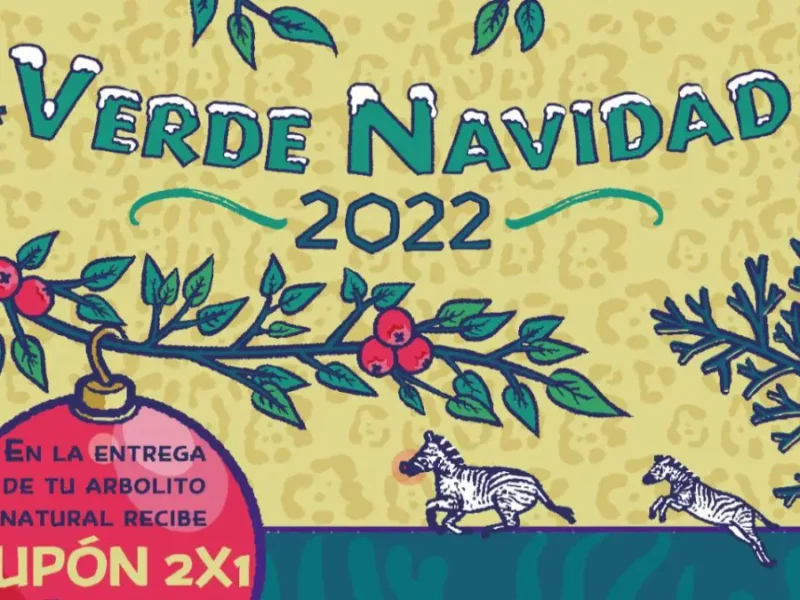 Atlixco se suma a la campaña "Verde Navidad 2022" con Soapama y Africam Safari.