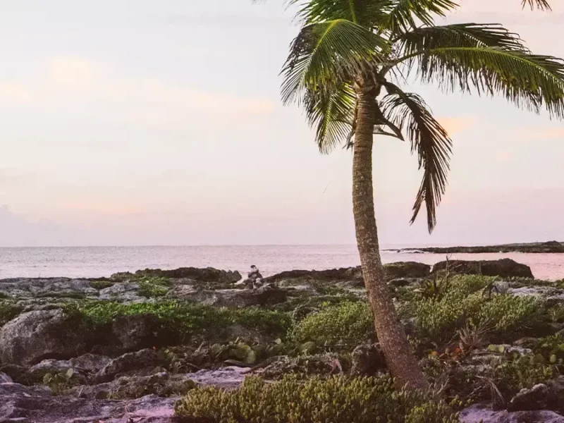 Asiste a la feria del empleo para trabajar en la Riviera Maya