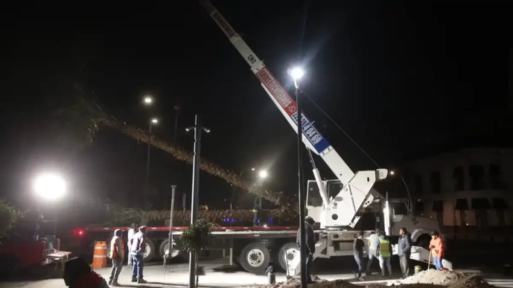 Ayuntamiento de Puebla planta palmeras en Avenida Juárez y Paseo Bravo