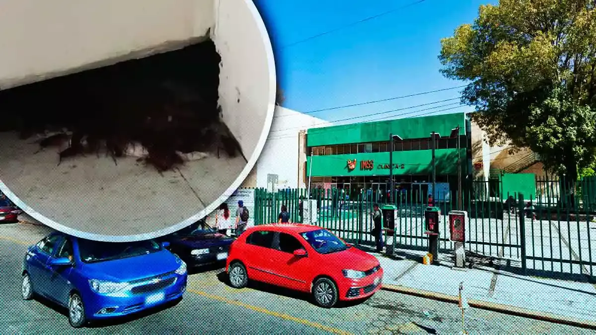 Pacientes de la Unidad Médica Familiar número 2 reportan nido de cucarachas en las instalaciones