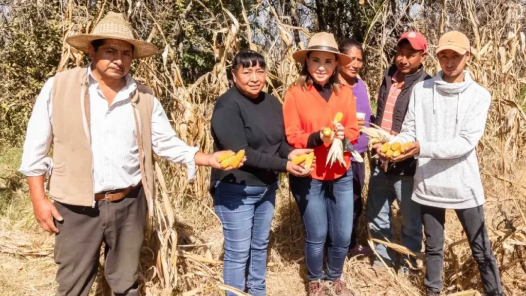 Apoyo al campo cholulteca es compromiso del Gobierno Municipal: Paola Angon.