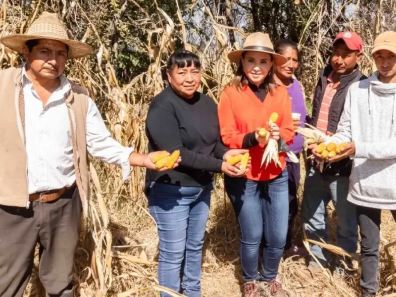 Apoyo al campo cholulteca es compromiso del Gobierno Municipal: Paola Angon.