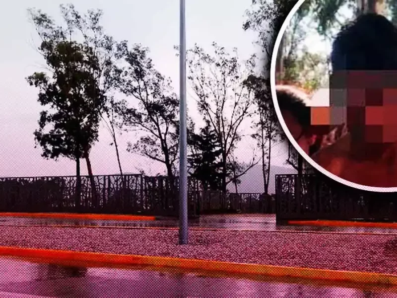 Detienen a sujeto por provocar incendio en el Parque de Amalucan