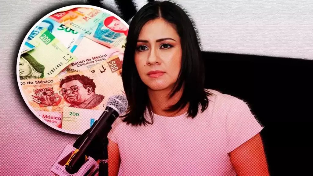 IEE Puebla requerirá ampliación presupuestal de 80 mdp para elecciones: Blanca Cruz