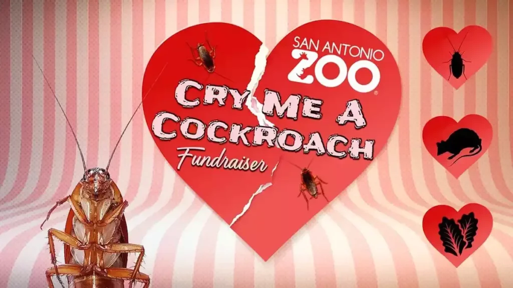 En este zoológico puedes nombrar a una cucaracha como tu ex