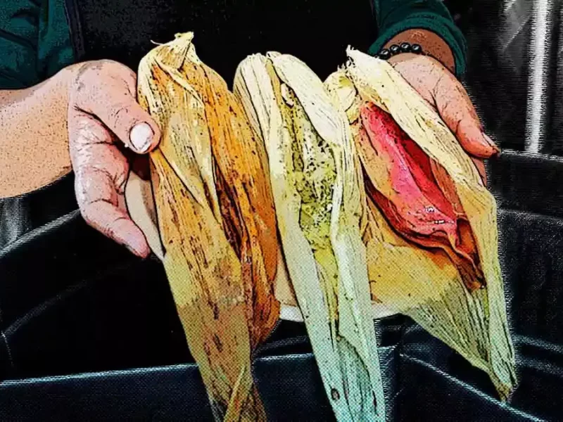 Los tamales con los sabores más originales en Puebla; ¡Ricos tamales calientitos!