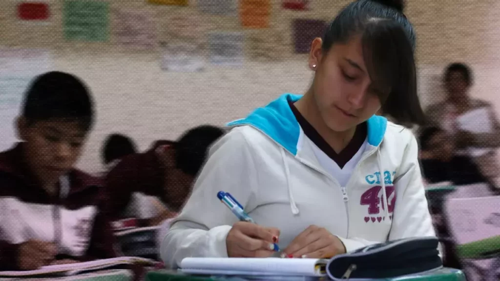 Alumnos de primaria y secundaria en Puebla fallan en matemáticas y lectura.