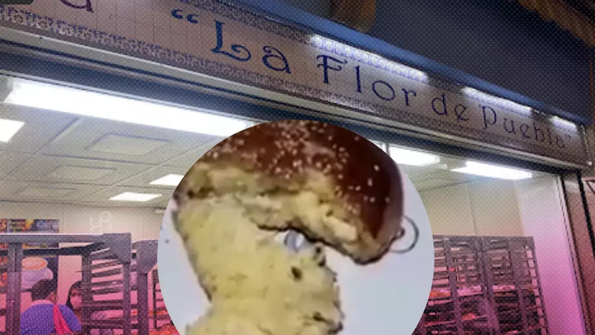 Encuentran excremento de ratas en pan de La Flor de Puebla