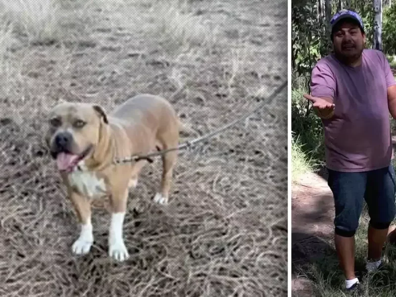 Perro ataca a deportistas en el cerro Zapotecas; dueño lo saca sin correa.