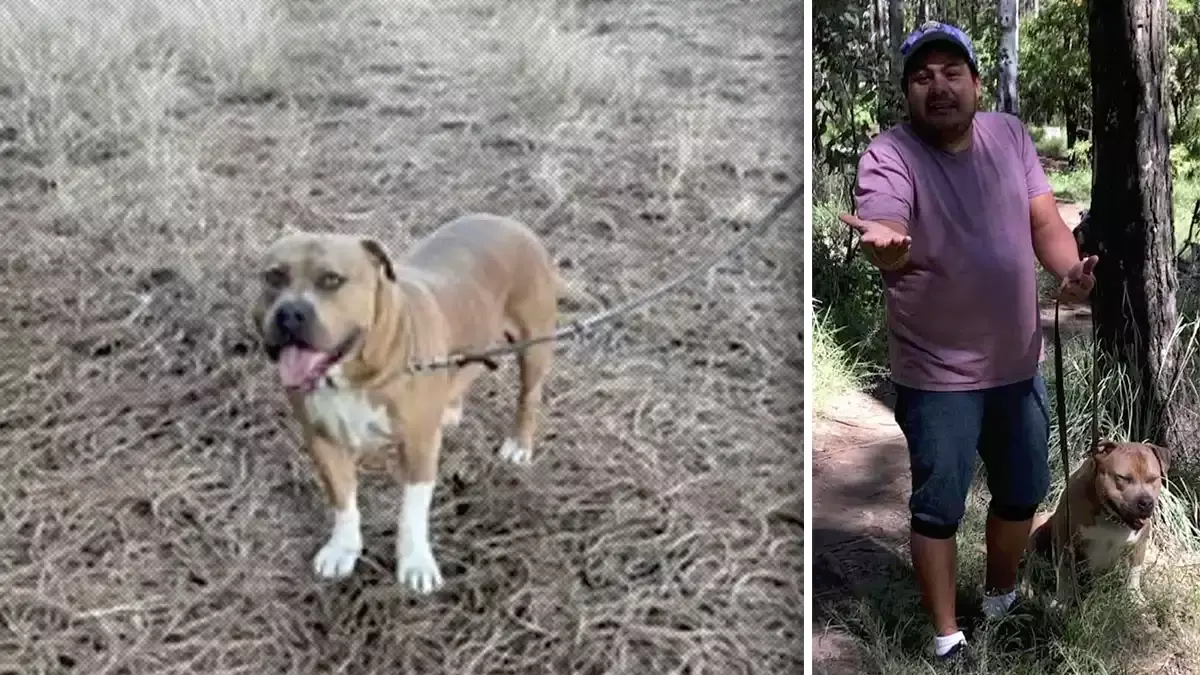 Perro ataca a deportistas en el cerro Zapotecas; dueño lo saca sin correa.