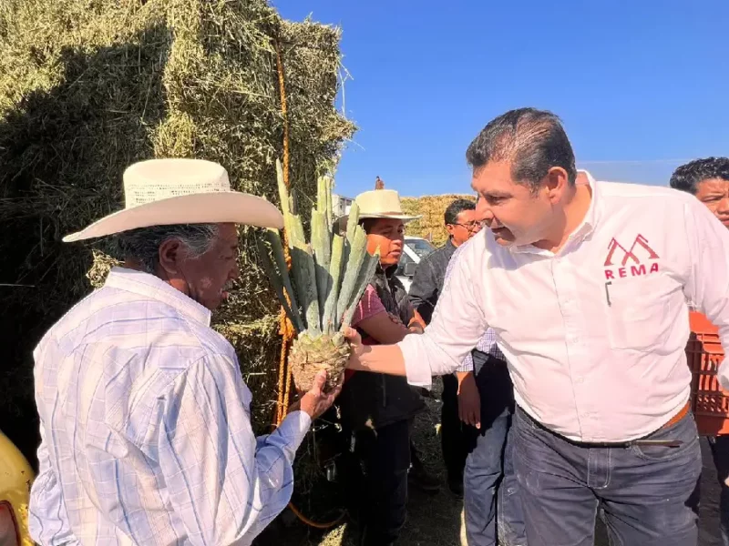 Armenta entrega de magueyes en la mixteca para el mejor aprovechamiento de nuestros recursos naturales