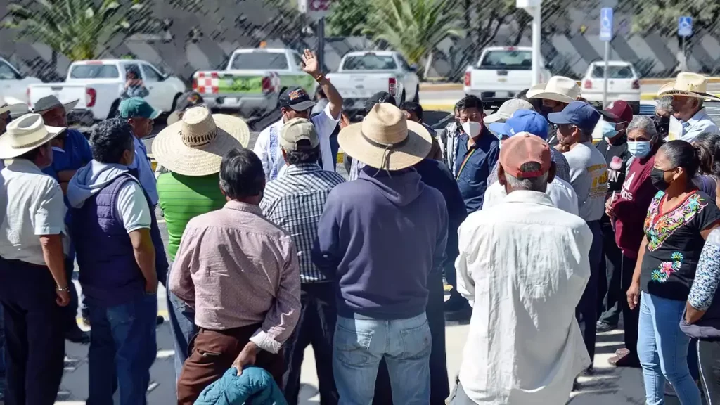 Sin intermediarios, entregarán fertilizantes a productores de Puebla en 45 puntos