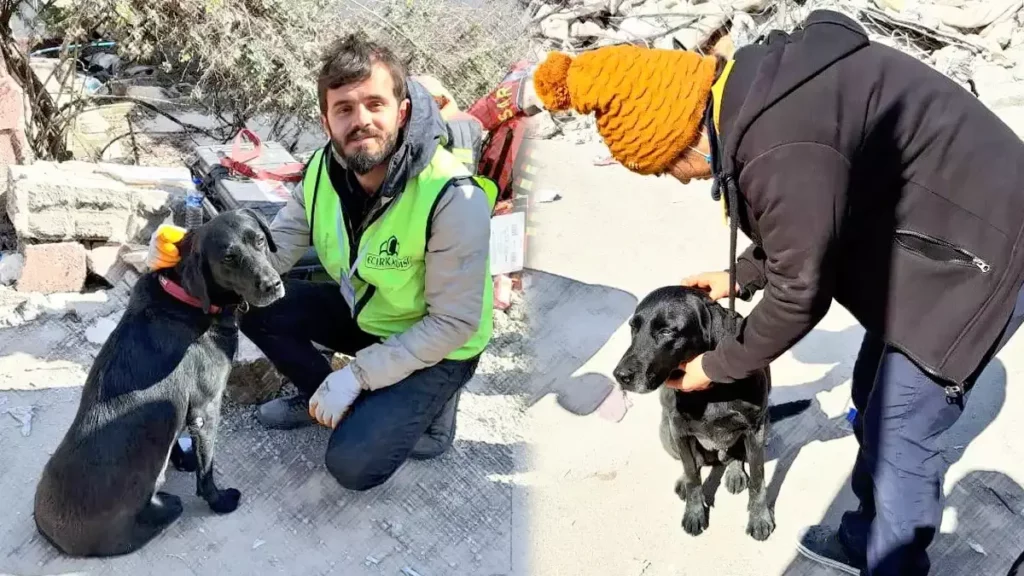 Ellas son las rescatistas Anneth y July, binomio canino que está en Turquía