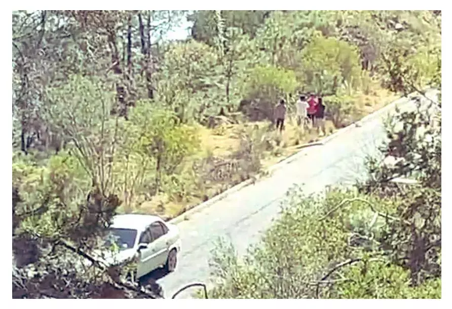 Encuentran 5 cuerpos en la carretera Libres-Altzayanca; uno de ellos es mujer
