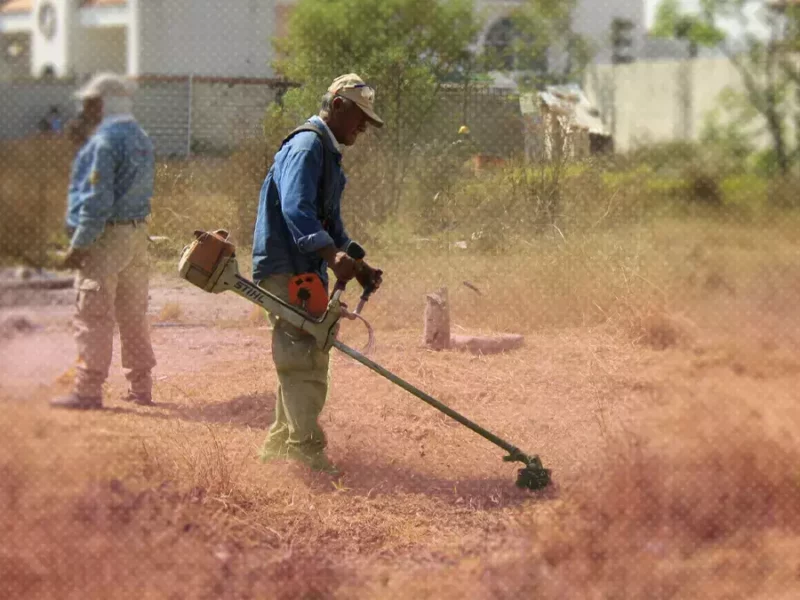 Continuará limpia de lotes baldíos en Puebla para evitar focos de inseguridad.