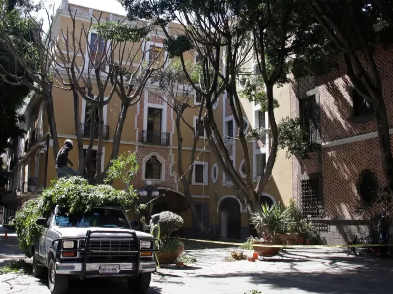 Ayuntamiento de Puebla culpa a empresa privada de poda de árboles en El Carolino.