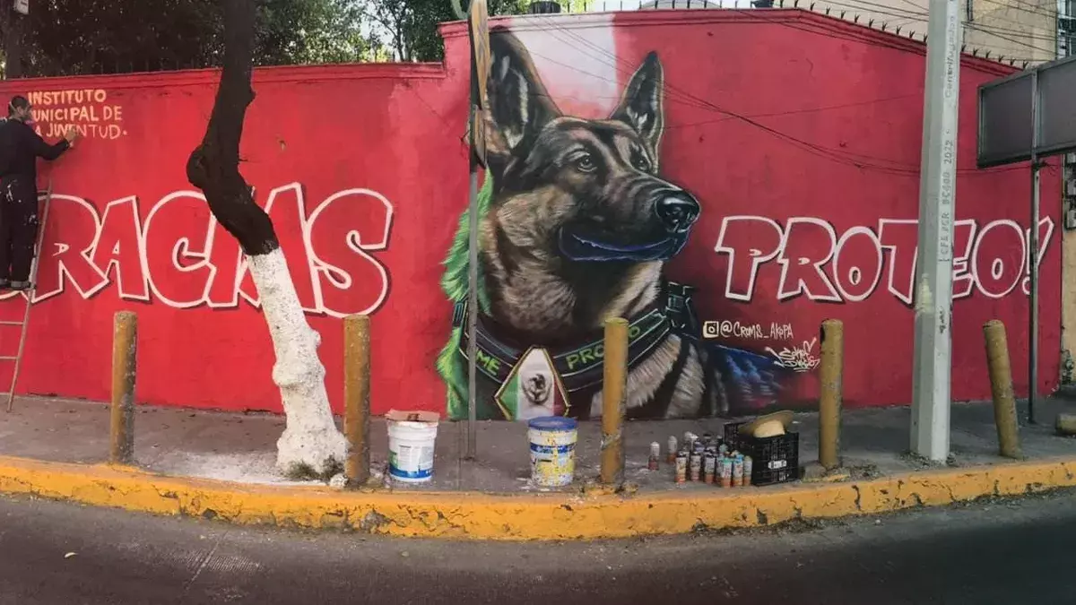 Este es el mural pintado en honor a Proteo, el perro rescatista de México