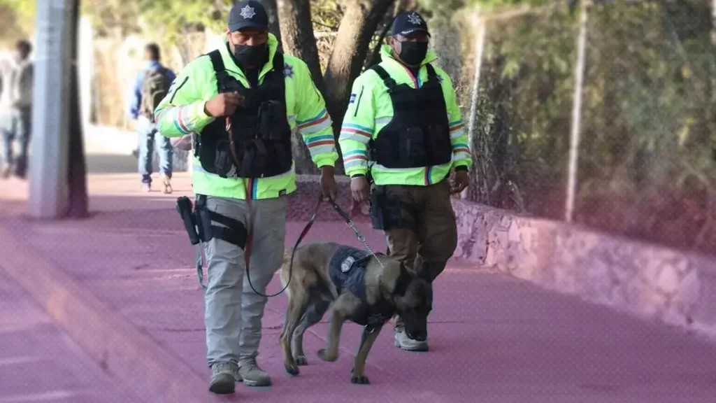 Se han detenido a 137 personas en operativos de seguridad en escuelas de Puebla