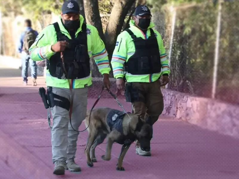 Se han detenido a 137 personas en operativos de seguridad en escuelas de Puebla