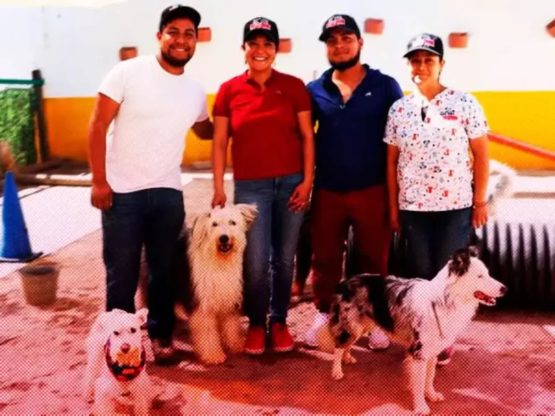 Big Dog, la mejor escuela canina en Puebla para consentir a tu mejor amigo