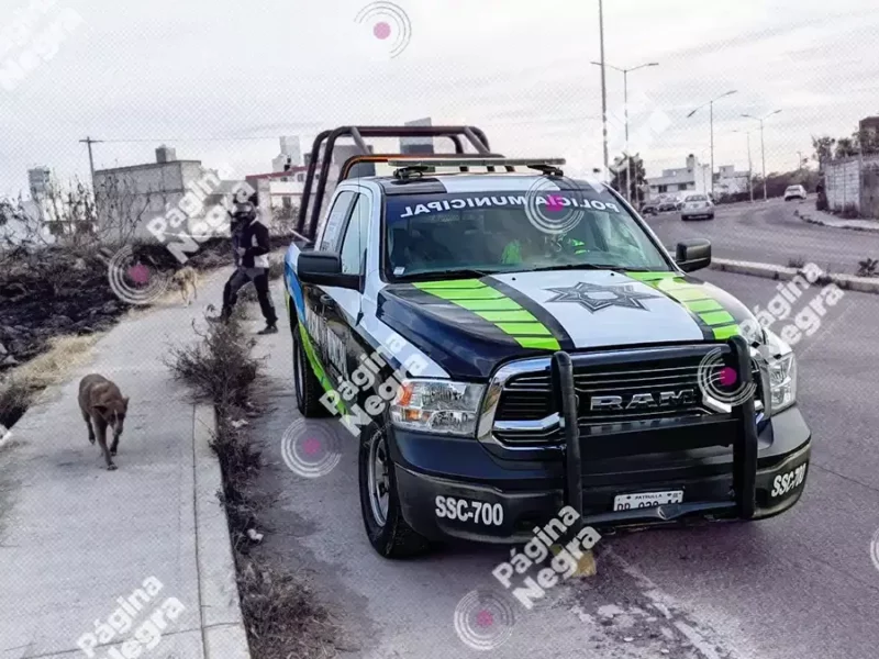 En terreno baldío, hallan cadáver encobijado al sur de Puebla capital.