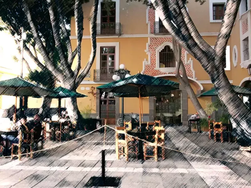 Hotel Colonial continúa sin sanción por poda de árboles en El Carolino