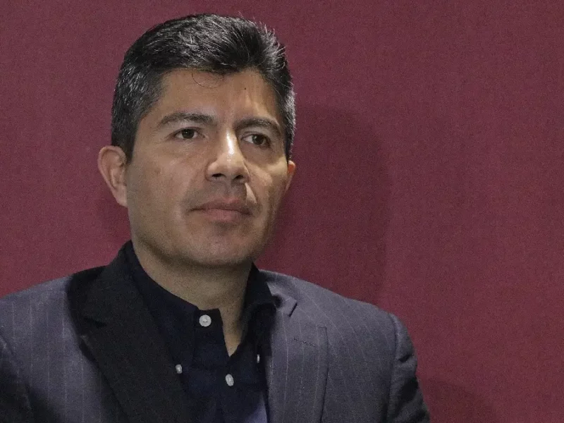 Ayuntamiento descarta legislar para proteger árboles en Puebla 