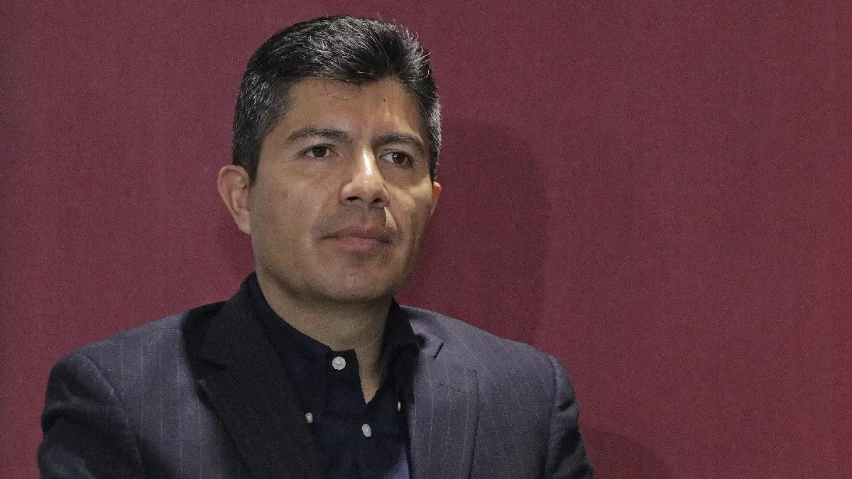 Ayuntamiento descarta legislar para proteger árboles en Puebla