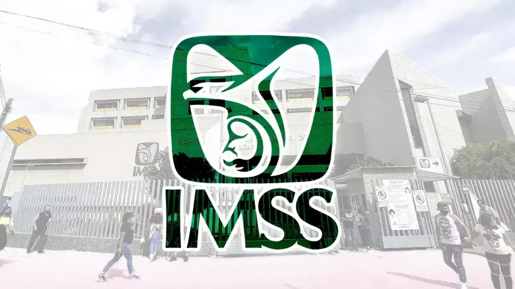 IMSS dice que ya fumigó brote de chinches en La Margarita 